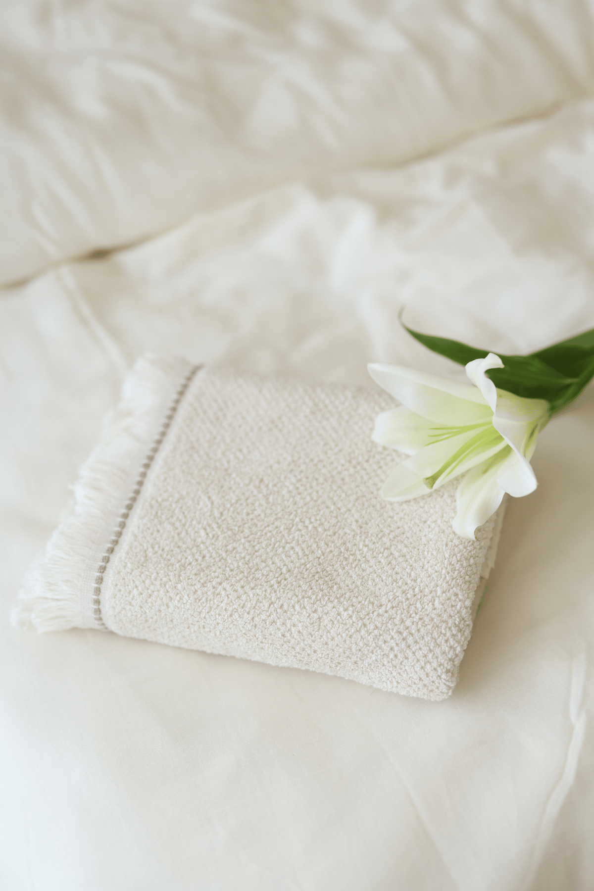 Travertine %100 Pamuk Yüz Havlusu 50x90 Açık Bej