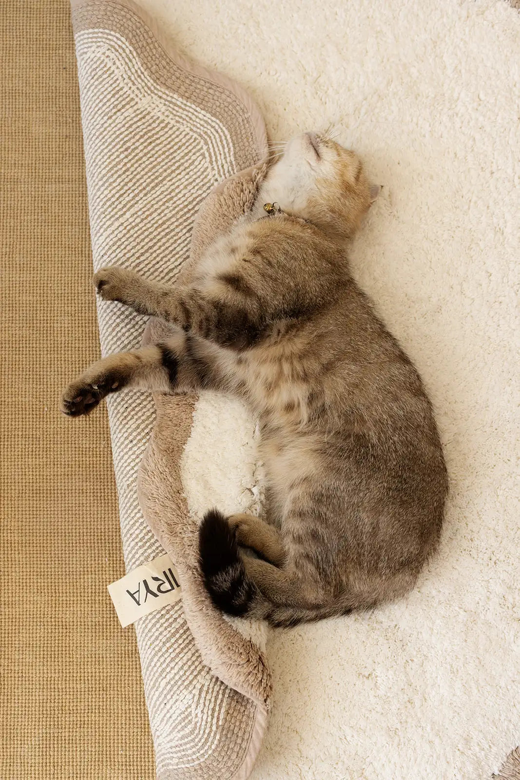 Scallop Yuvarlak Banyo Paspası Bambu 90x90 Bej