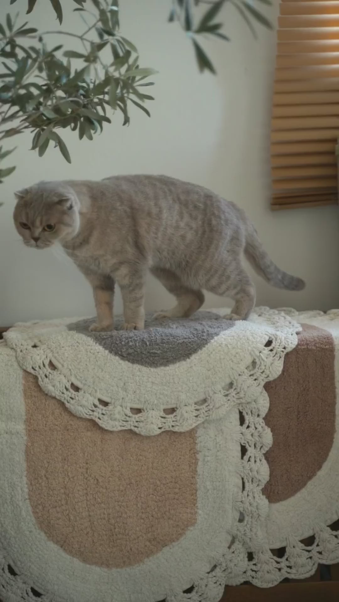 Load video: Bianca 2 Piece Bath Mat Set 100% Cotton 40x60 + 60x90 Ecru