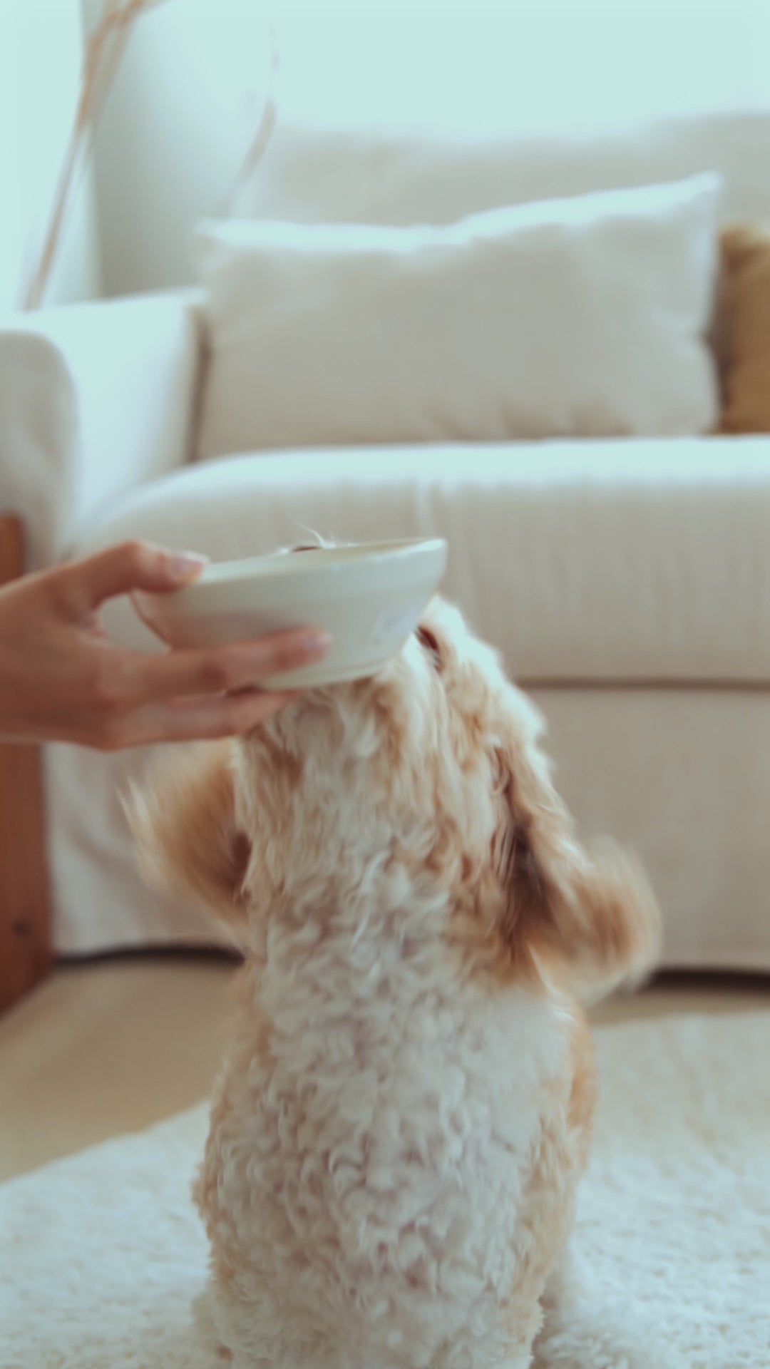 Load video: Sedef Tekli Banyo Paspası Bambu 90x110 Ekru